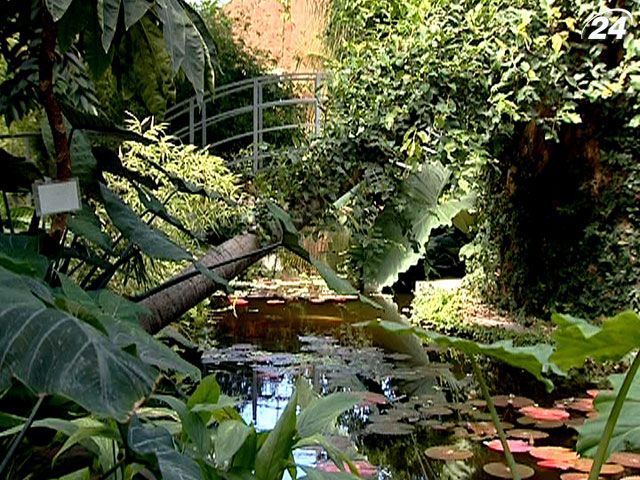 Столичный ботанический сад отмечает День рождения Столичный ботанический сад отмечает День рождения