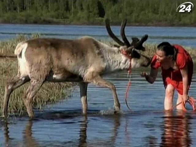 Температура воздуха в Лапландии достигла рекордных 27 ° С Температура воздуха в Лапландии достигла рекордных 27 ° С