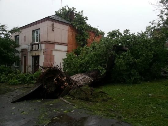 Потужний ураган пронісся і на Рівненщині (Фото. Відео) 