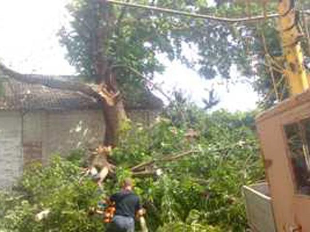 На Черкащині рятувальники ліквідовують наслідки негоди На Черкащині рятувальники ліквідовують наслідки негоди