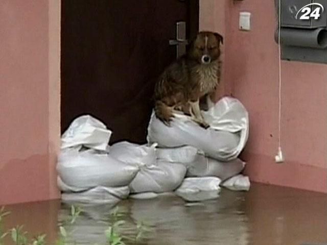 Наводнения в Центральной и Восточной Европе набирают обороты (Видео) Наводнения в Центральной и Восточной Европе набирают обороты (Видео)