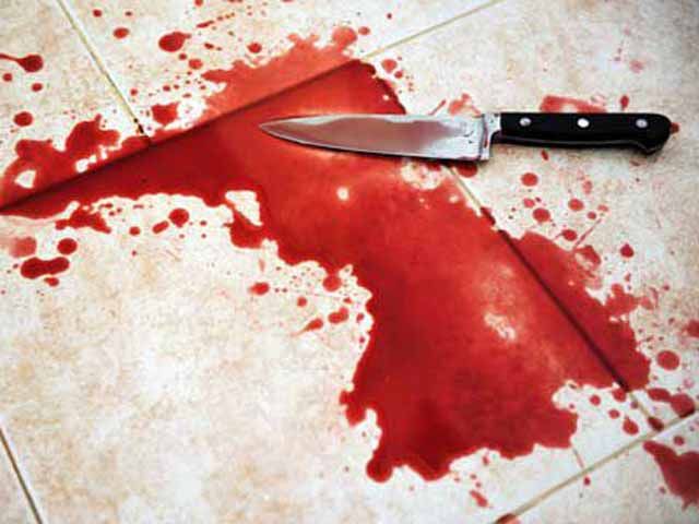 В Одесской области женщина зарезала своего мужа и выпила яд В Одесской области женщина зарезала своего мужа и выпила яд