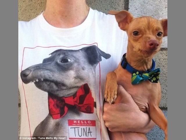 Щенок стал интернет-сенсацией из-за неправильного прикуса (Фото) Щенок стал интернет-сенсацией из-за неправильного прикуса (Фото)