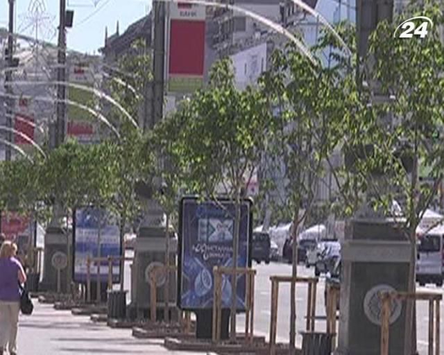 Итальянцы выяснят обстоятельства подмены каштанов на Крещатике Итальянцы выяснят обстоятельства подмены каштанов на Крещатике