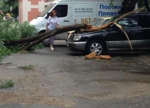 Внаслідок бурі в Одесі постраждали 4 людини та впали 20 дерев 