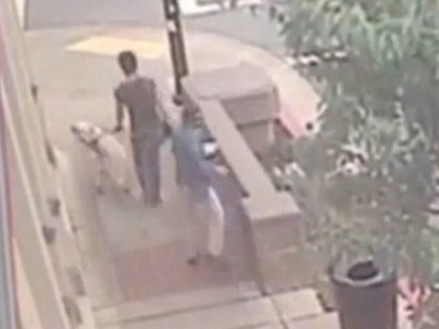 Собака-поводырь спас хозяев от смерти (Видео) Собака-поводырь спас хозяев от смерти (Видео)