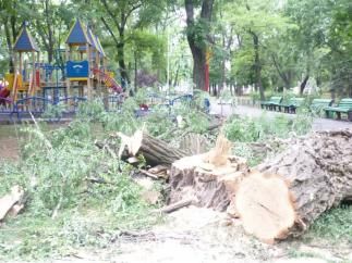 Ураган в Мариуполе вырывал деревья и обрушил балконы Ураган в Мариуполе вырывал деревья и обрушил балконы