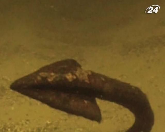 На дні Дніпра знайшли більше 30 якорів початку ХVIII ст На дні Дніпра знайшли більше 30 якорів початку ХVIII ст