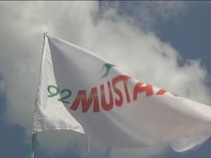 Бензиновый Mustang Бензиновый Mustang