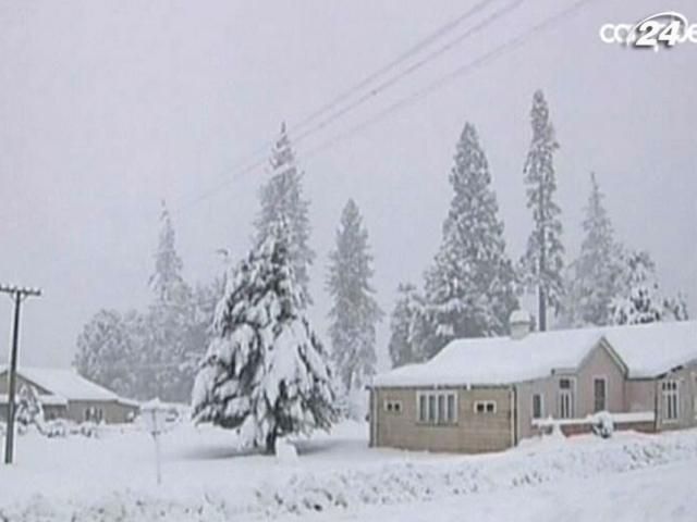 В Новой Зеландии - сильнейшая за последние 20 лет снежная буря В Новой Зеландии - сильнейшая за последние 20 лет снежная буря