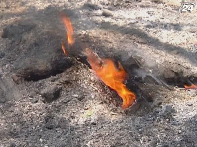 У Криму - високий рівень пожежної небезпеки У Криму - високий рівень пожежної небезпеки
