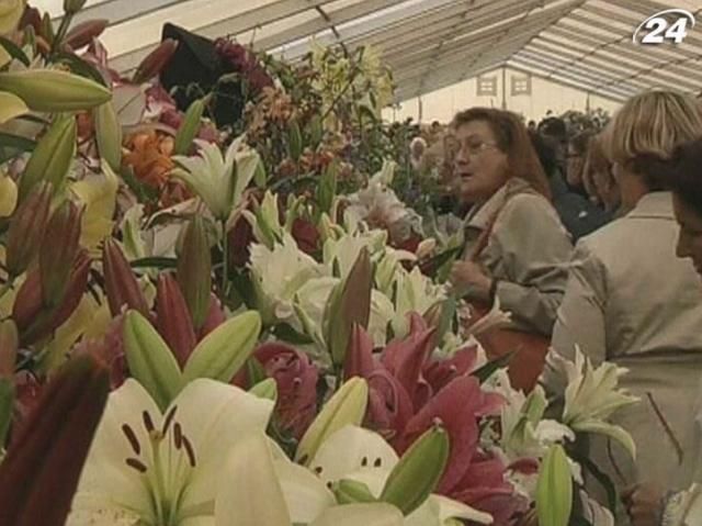 Самые красивые цветы Великобритании представили на выставке Самые красивые цветы Великобритании представили на выставке