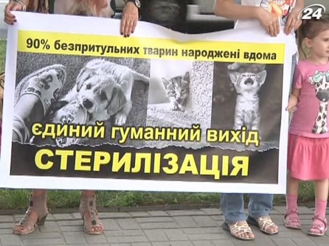 Запорожцы требуют стерилизовать бездомных собак Запорожцы требуют стерилизовать бездомных собак
