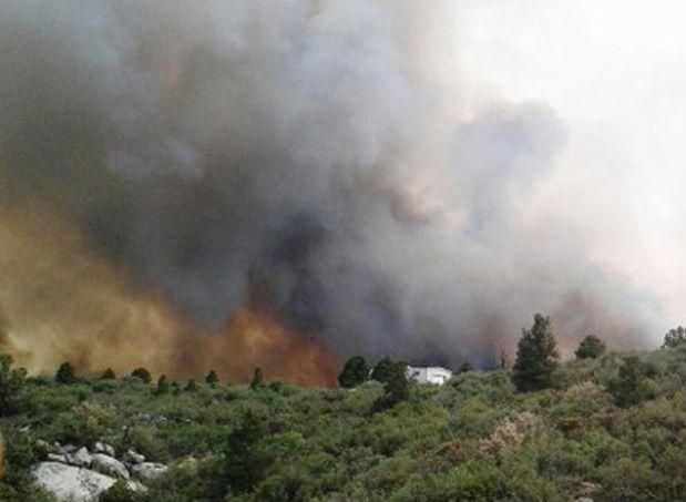 В США погибли 19 пожарных, которые спасали от огня леса В США погибли 19 пожарных, которые спасали от огня леса