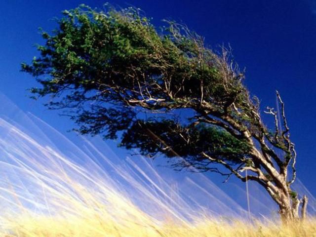 В Україні штормове попередження - 1 липня 2013 - Телеканал новин 24 В Україні штормове попередження - 1 липня 2013 - Телеканал новин 24