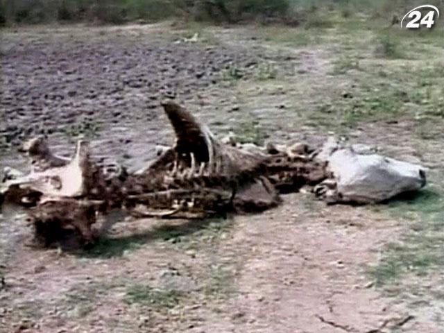 Через три миллиарда лет на Земле вымрет все живое, - ученые Через три миллиарда лет на Земле вымрет все живое, - ученые