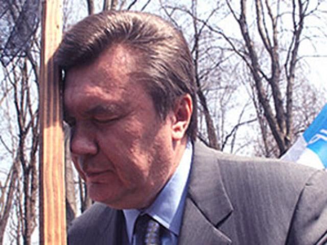 Регионалы подарят Януковичу на День рождения книги