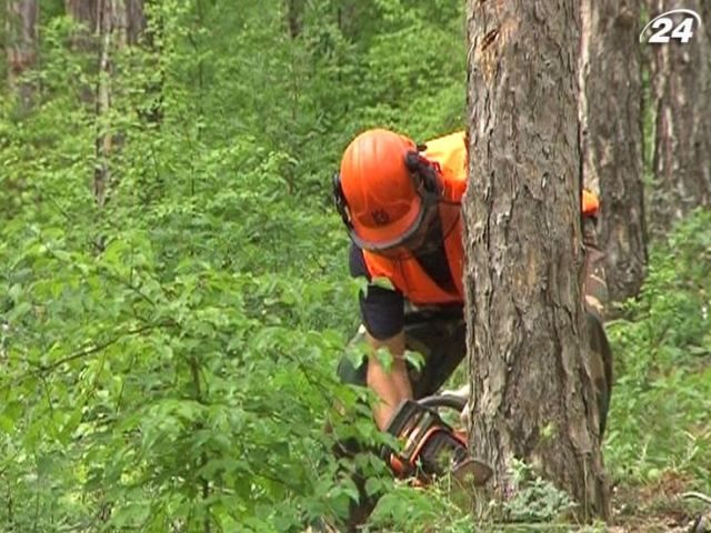 У Криму відбуваються змагання лісорубів У Криму відбуваються змагання лісорубів