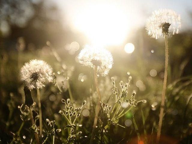 Сегодня в Украине - без осадков, на западе и севере - местами грозы Сегодня в Украине - без осадков, на западе и севере - местами грозы