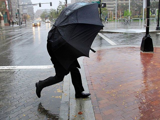 На западе и севере Украины - штормовое предупреждение На западе и севере Украины - штормовое предупреждение