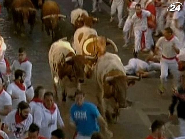 В Іспанії відбувається щорічний забіг з биками