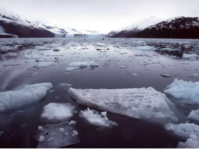 У США розбився малогабаритний літак: всі дев'ять пасажирів і пілот загинули У США розбився малогабаритний літак: всі дев'ять пасажирів і пілот загинули