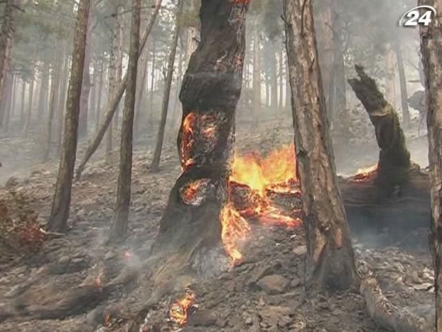 Рятувальники готові до сезону лісових пожеж, - ДСНС