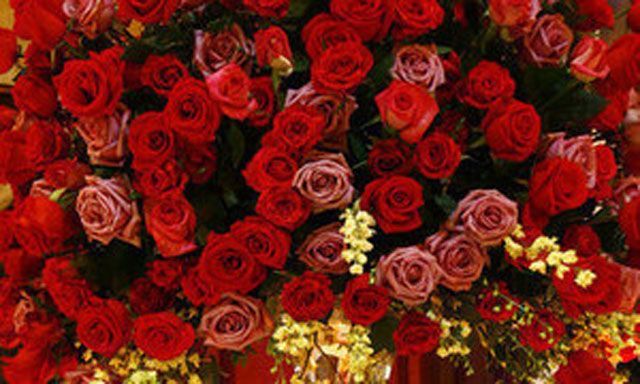 Півтора мільйона регіоналів привітали Януковича Півтора мільйона регіоналів привітали Януковича