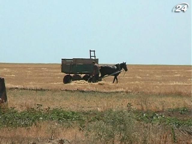 В Минэкономики отмечают рост аграрного рынка В Минэкономики отмечают рост аграрного рынка