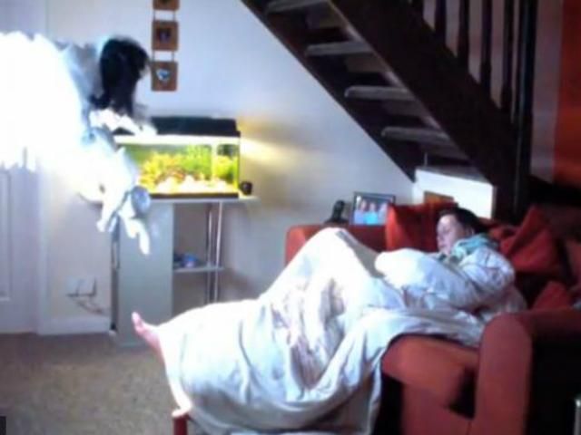 Британец напугал свою подругу призраком из фильма "Звонок" Британец напугал свою подругу призраком из фильма "Звонок"