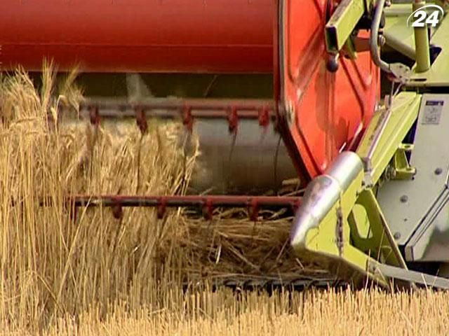 Украинские аграрии в этом году могут потерять до 26 миллиардов гривен