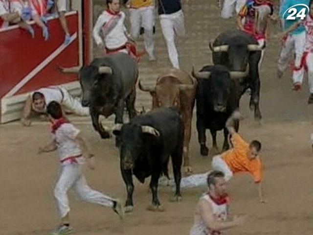 В Испании во время бега с быками ранения получили более 20 человек