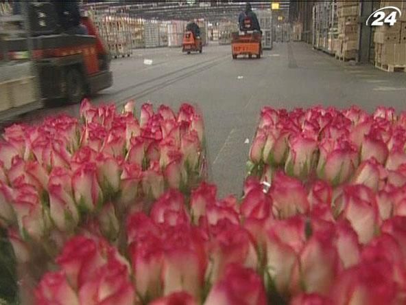 Как работает цветочная биржа в Голландии Как работает цветочная биржа в Голландии