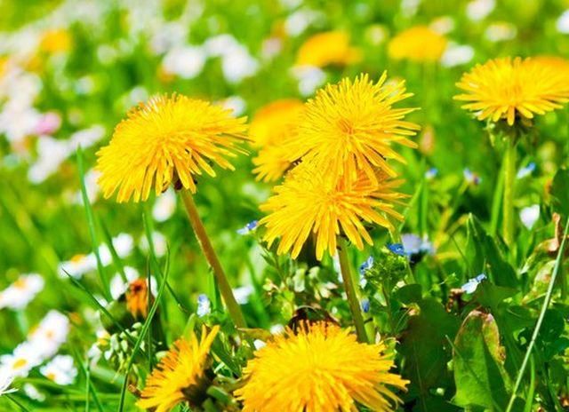 На завтра синоптики прогнозують шторм на Західній Україні і тепло - решті регіонів На завтра синоптики прогнозують шторм на Західній Україні і тепло - решті регіонів