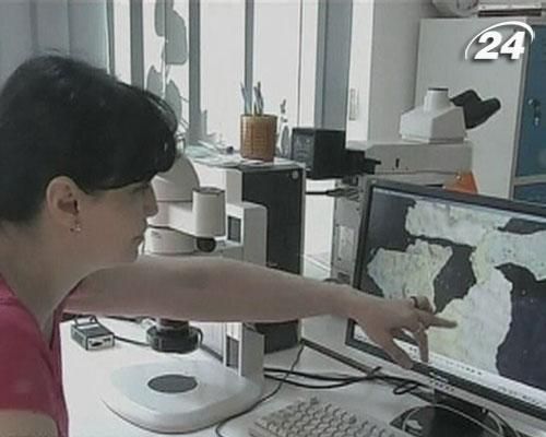 Досі не відомо, чи спалені картини – є шедеврами з Роттердамського музею Досі не відомо, чи спалені картини – є шедеврами з Роттердамського музею