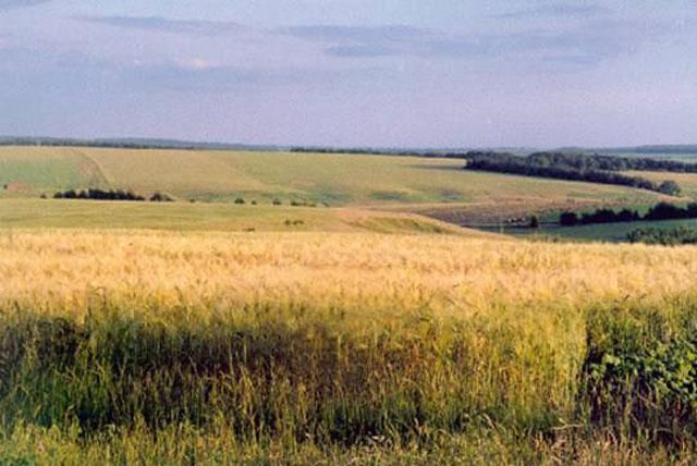 Україна ввійшла в десятку країн, де найпривабливіше купувати землю