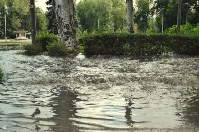 Запорізький парк затопило смердючими відходами (Фото)