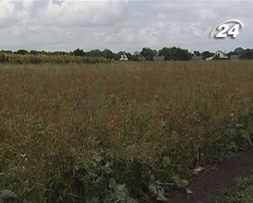 Решать, кому продавать землю, должны земельные союзы Решать, кому продавать землю, должны земельные союзы