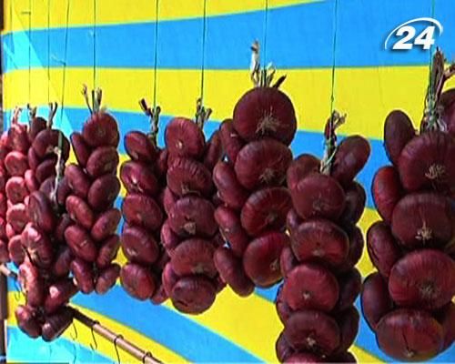 В Крыму созрел известный ялтинский лук