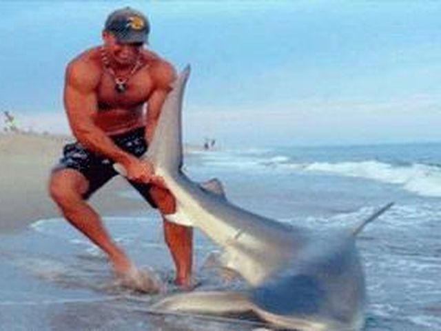 Молодий америиканець влаштував бійку з акулою просто на пляжі