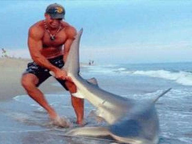 Молодой американец устроил драку с акулой прямо на пляже Молодой американец устроил драку с акулой прямо на пляже