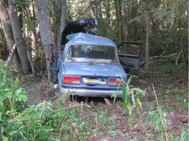 На Вінниччині водій в'їхав у дерево На Вінниччині водій в'їхав у дерево