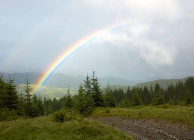 Завтра в Україні - холодна дощова погода Завтра в Україні - холодна дощова погода