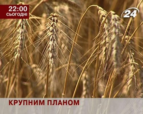 Анонс. Крупним планом: Хто хоче присвоїти землі Академії наук?