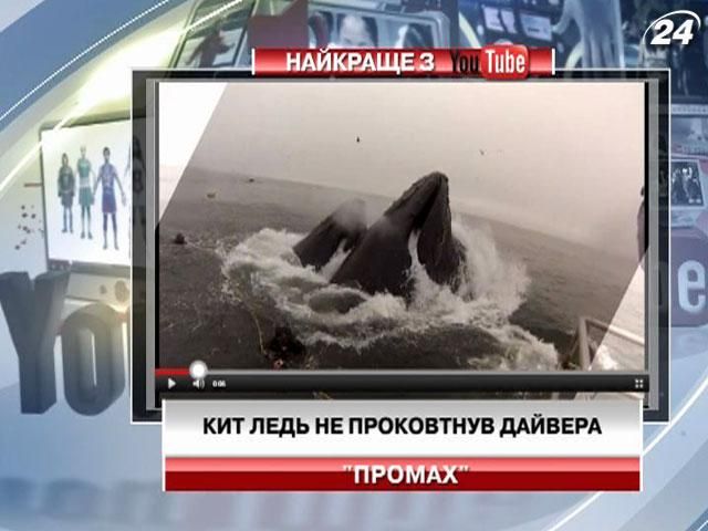 Кит ледь не проковтнув дайвера