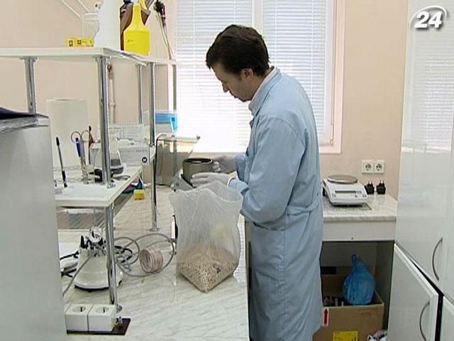 Украина может стать основным производителем ГМО в Европе, - прогноз Украина может стать основным производителем ГМО в Европе, - прогноз