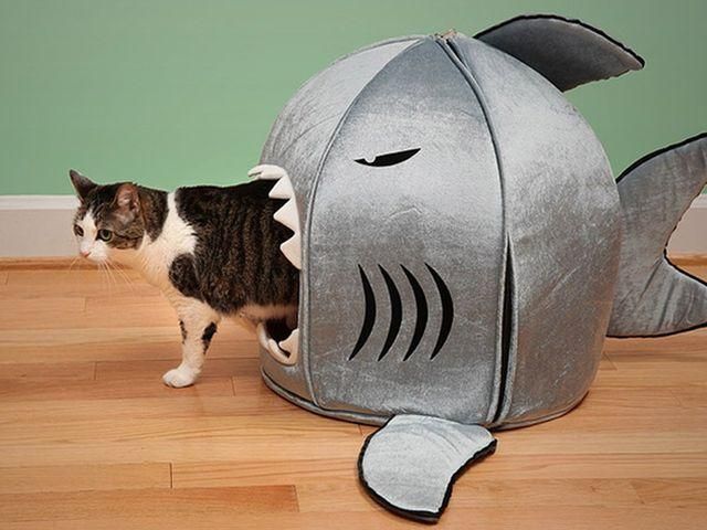 Дизайнерские вещи для котов Дизайнерские вещи для котов