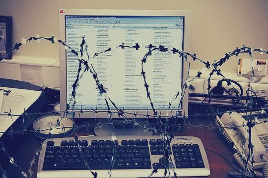 Опозиція хоче дозволити в'язням користуватися інтернетом Опозиція хоче дозволити в'язням користуватися інтернетом