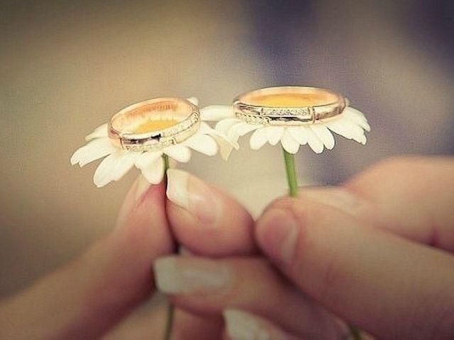 Чаще всего женятся на Донетчине Чаще всего женятся на Донетчине