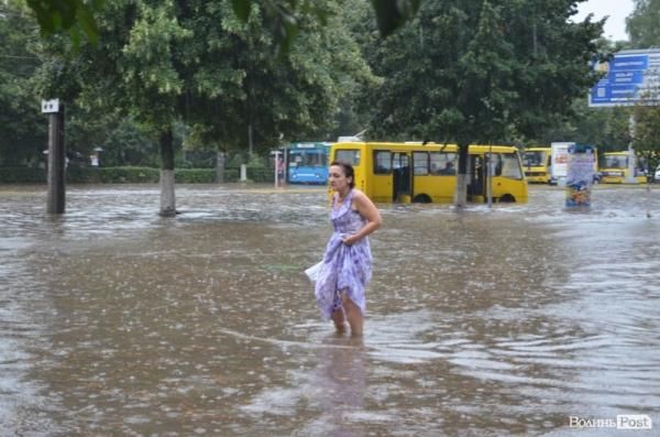 Негода у Луцьку: затопило зоопарк, 9-типоверхівки, повалило дерева (Фото)